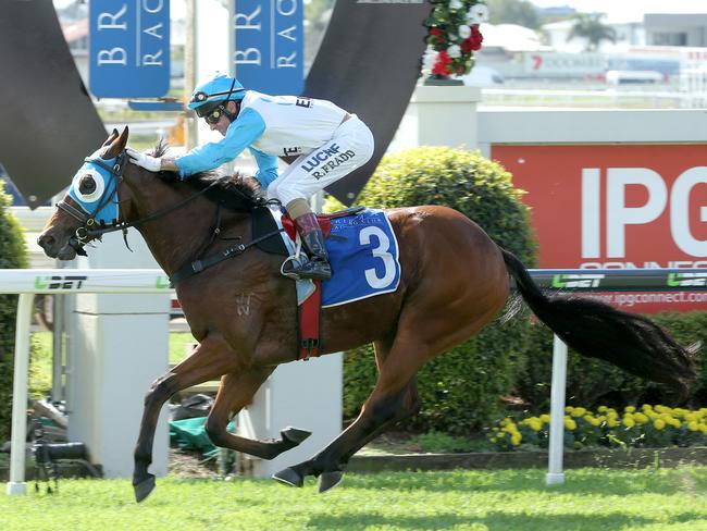 Race 1 - Robbie Fradd rides Straturbo to win race 1 at Doomben - Doomben Cup raceday. Photo Mark Cranitch.