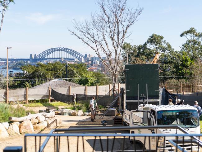 Taronga Zoo: zoos will reopen under step two. Picture: Taronga Zoo