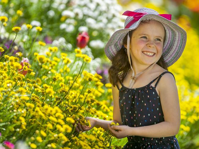 Georgia Grant enjoying the colours of the annual Carnival of Flowers festival in Toowoomba. Photo: David Martinelli