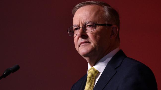 Labor leader Anthony Albanese had taken great care not to offer a target to Scott Morrison. Picture: Flavio Brancaleone