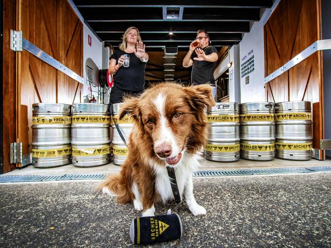 Archer Brewing owners Lucy and Stuart Martin with their dog (and brewery namesake) Archer. Picture: Nigel Hallett