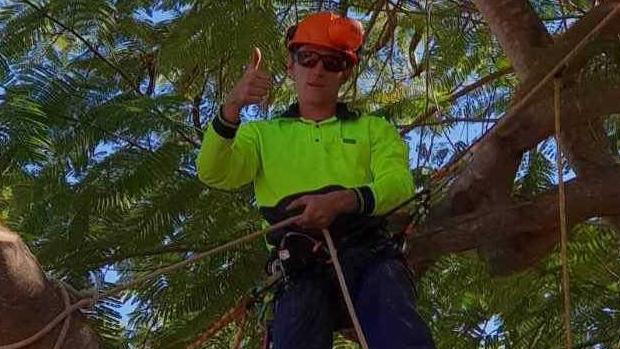 Martin Wheeler at work in his tree lopping business.