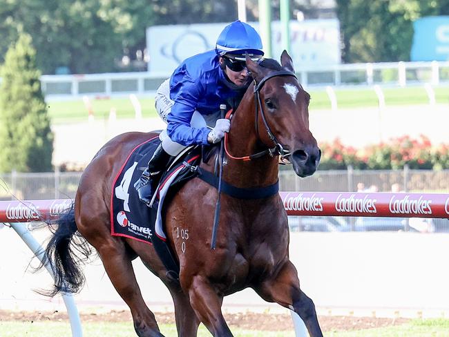 Jambalaya ridden by Jamie Kah wins the Ranvet Plate at Moonee Valley Racecourse on November 17, 2023 in Moonee Ponds, Australia. (Photo by George Sal/Racing Photos via Getty Images)