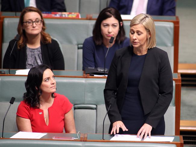 Susan Lamb resigned in Parliament last week after the High Court found Katy Gallagher ineligible for holding foreign citizenship. Picture: Gary Ramage