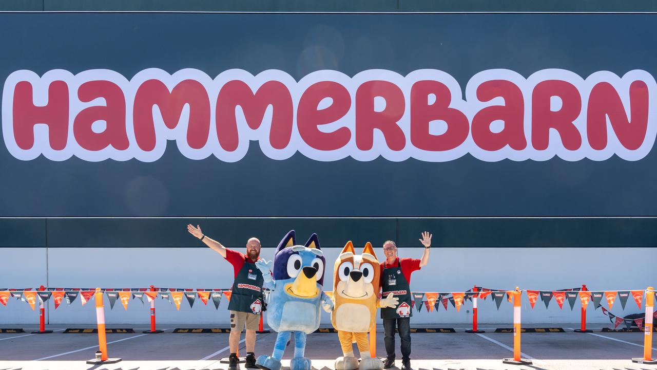 Bunnings stores across Australia have transformed into Bluey's Hammberbarn. Picture: Supplied