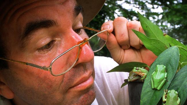 Northern Territory man David Wilson is an actual frog farmer!