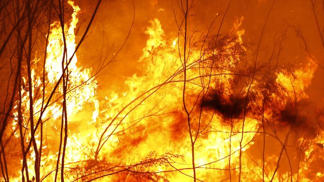 Bushfires roar between the townships of Bemm River and Cann River in East Gippsland on January 2, 2020. Picture: Darrian Traynor