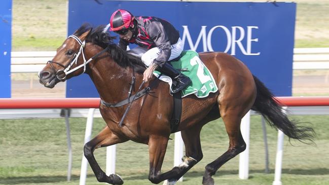 The Brett Cavanough-trained Pointe Basse will be hard to beat again at Scone. Picture: Bradley Photos
