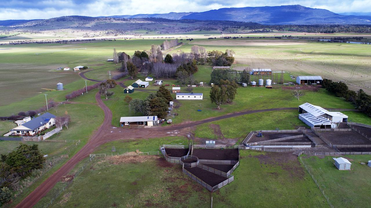 Family celebrates 200th anniversary of Kenilworth sheep farm | The ...