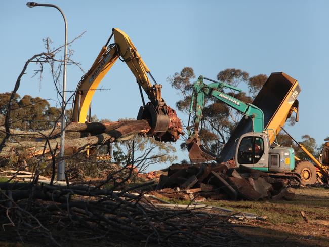 The loss of trees has contributed to the increased heat.