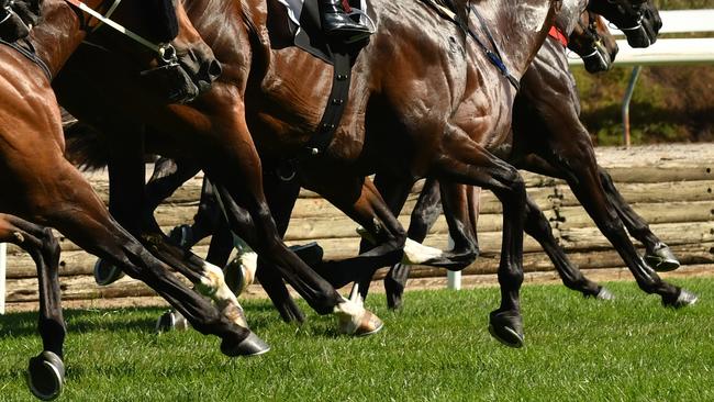 Two people have been arrested as part of a major race-fixing inquiry.