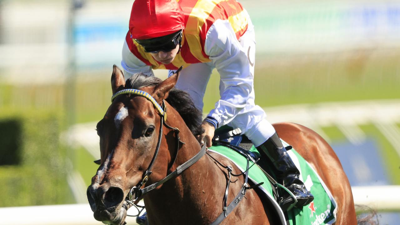 Randwick Races: Peltzer, The Face Run In Eskimo Prince Stakes 