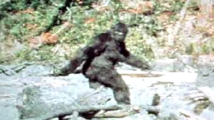 FBI unveils documents related to 1970s Bigfoot investigation - ABC