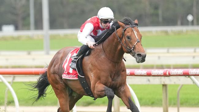 Najem Suhail showed his true ability in his win at Sale. Picture: Racing Photos via Getty Images