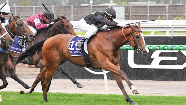 Debut stakes winner Highvol has been well backed to win Saturday’s Trevore Clarke Handicap at Flemington. Picture: Racing Photos via Getty Images
