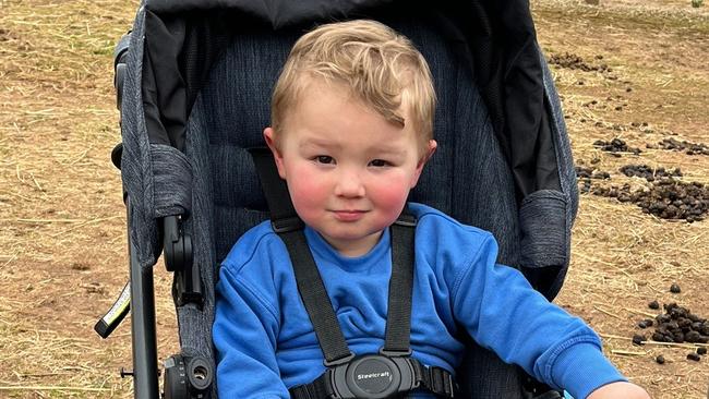 Luka Huddle, 2, drowned in a dam near Geelong Picture: GoFundMe