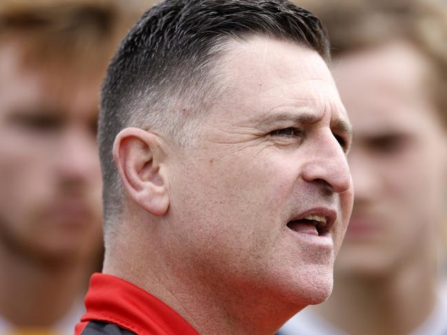 Stingrays coach Nick Cox. Photo: Jonathan DiMaggio/AFL Photos/via Getty Images