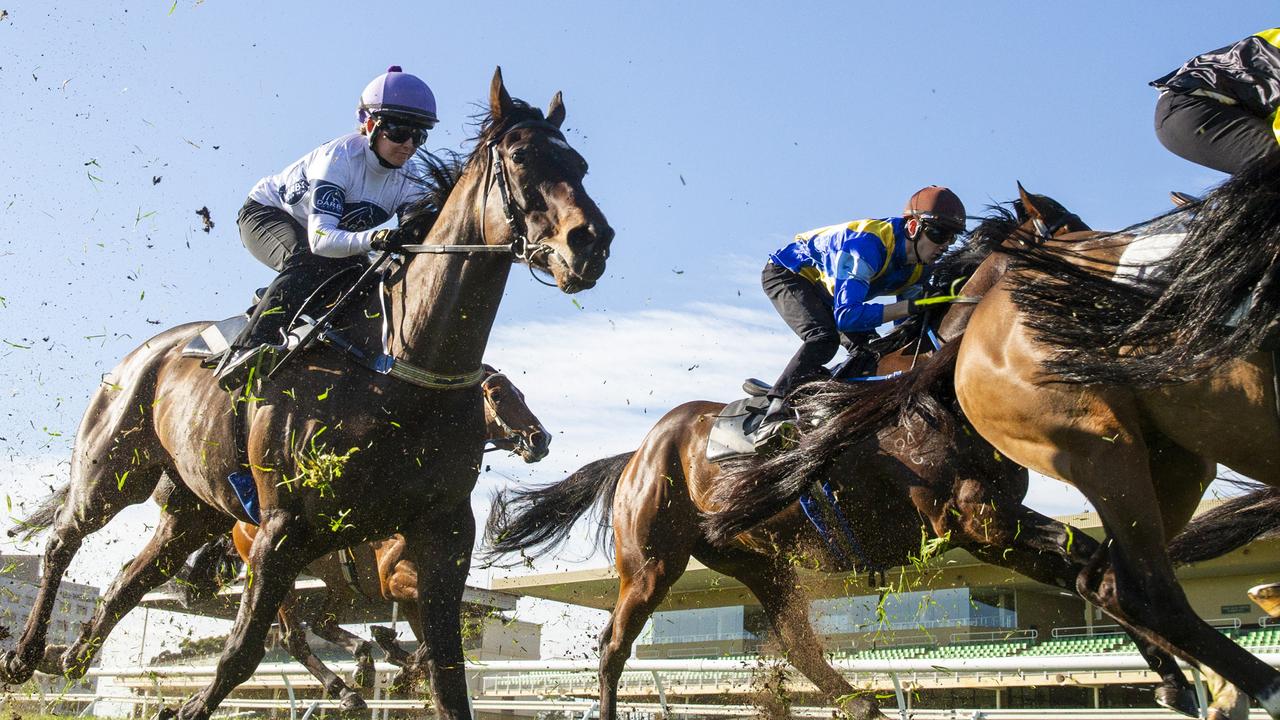 Free membership, $1000 bar tab if Rosehill sale goes ahead
