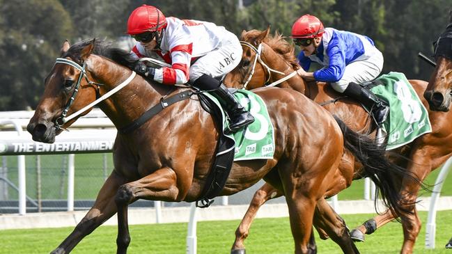 Ready To Shine looks ideally placed to score another second-up win. Picture: Bradley Photos