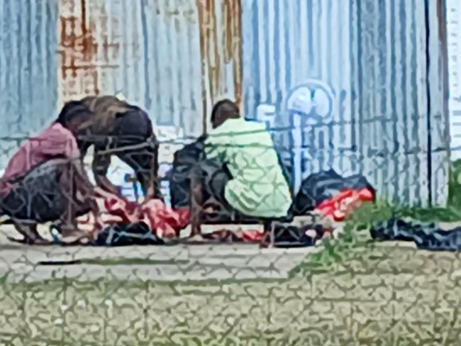 Its claimed a group of migrant workers have killed and butchered a pet dog at house in Mareeba. Picture: Peter Thompson