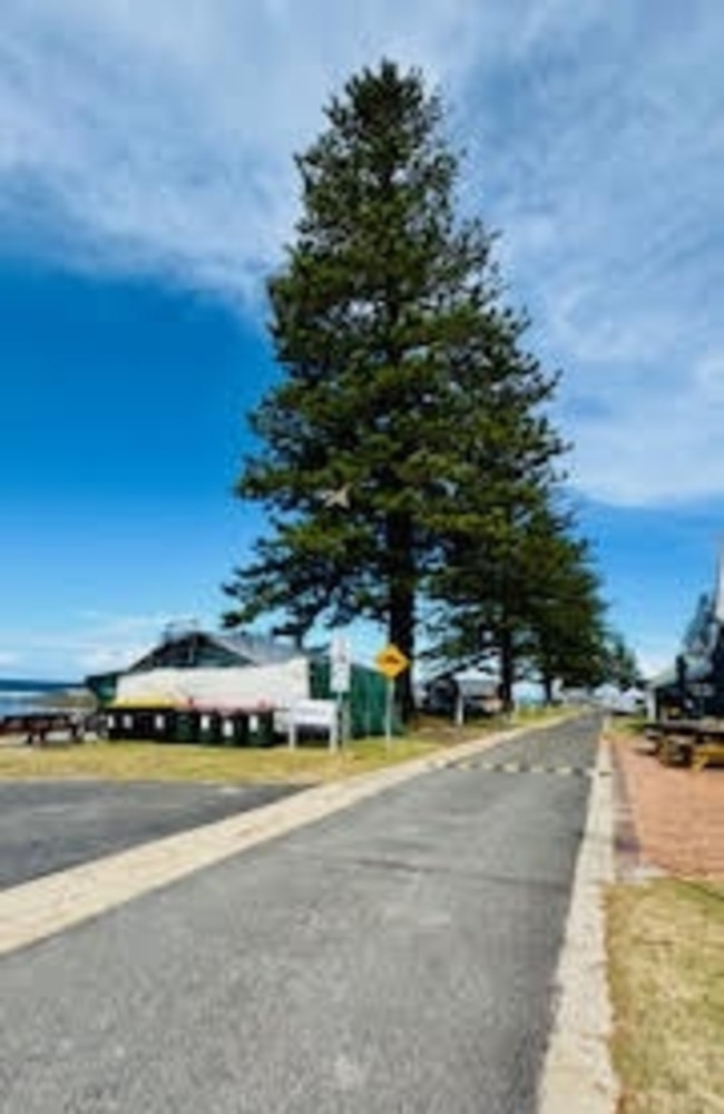 Beachside B section where campsites are to be removed from Brooms Head Holiday Park. Picture: Supplied