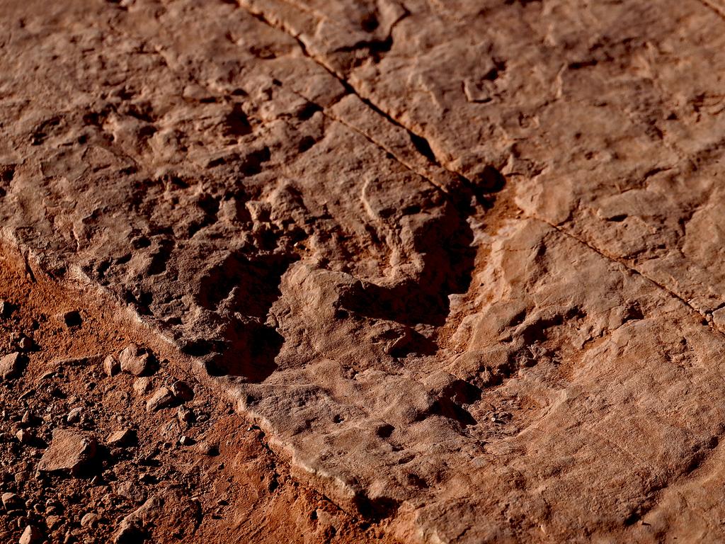 Paleontology pals ... Dinosaur tracks found preserved in the wilds of the Utah desert. Picture: Nicholas Eagar