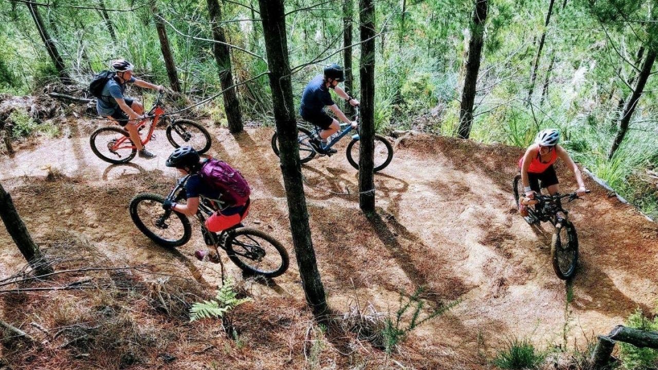 Mountain biking around Paihia.