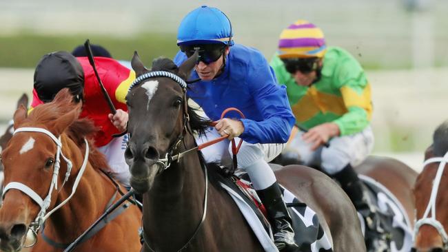 Avilius will be chasing his fourth successive win when he lines up in The Bart Cummings. Picture: Getty Images