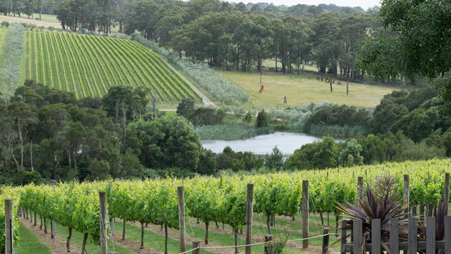 Tuck’s Ridge, which is included in the Wine Compass itinerary.