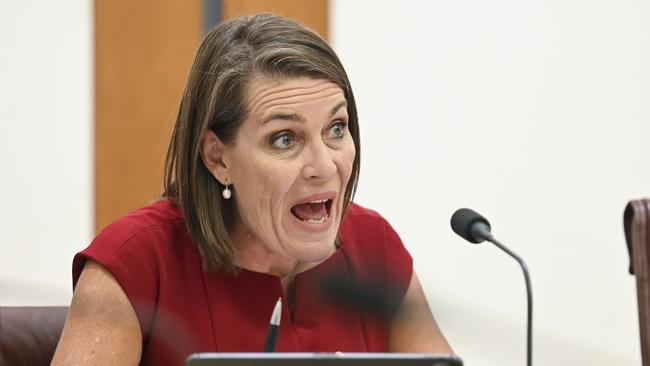 Deputy Nationals Leader Perin Davey says the Liberals have cost her her senate seat. Picture: NewsWire / Martin Ollman