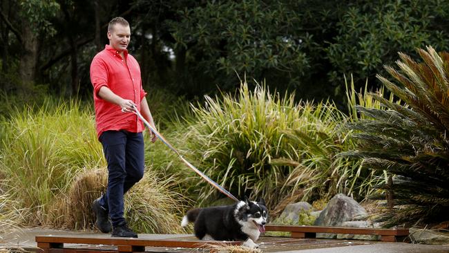 Dr Sam Kovac said dogs could pick up ticks from bushland or playing with other dogs. Picture: Supplied