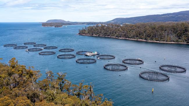 Tassal salmon pens at Long Bay, Tasman Peninsula. Pic: Supplied.