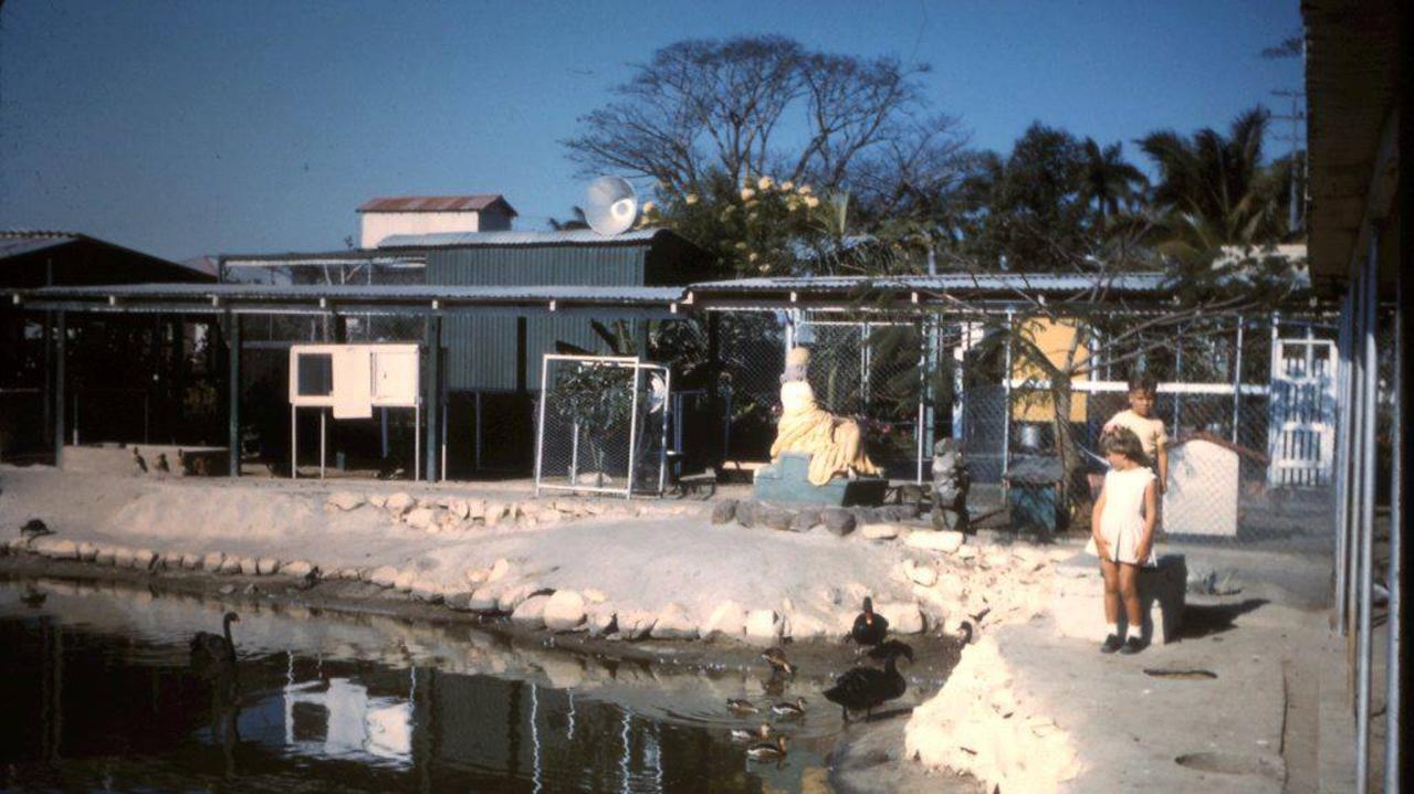 Inside Bayersville Zoo around 1960. Picture: Shared from the Vicki Brown Collection in Have You Seen The Old Mackay.