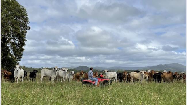 The successful auction follows the $4m sale of a home at Grasstree Beach Road. Photo: Ray White Rural Sarina.