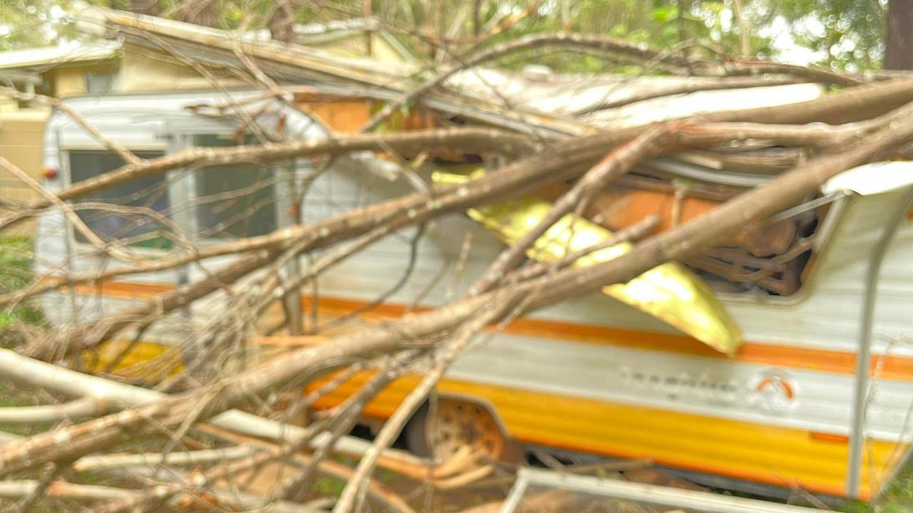 Trees have come down across the South East.