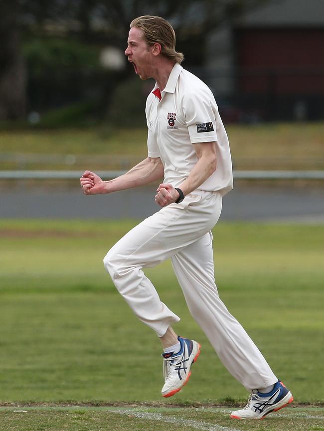 Daniel Gilbert celebrates a wicket for Diamond Creek.