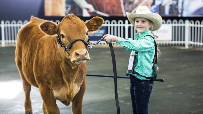 There are plenty of free activities involving animals.