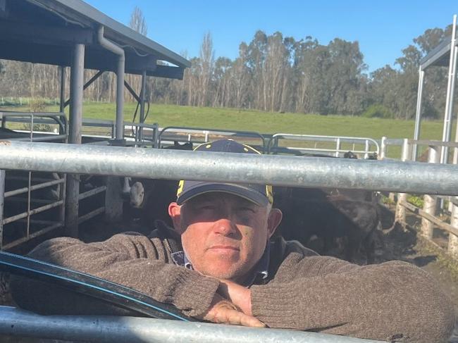 Andrew Watson has been removing cattle from his Bungowannah property this week due to riding floodwater. Picture: Supplied