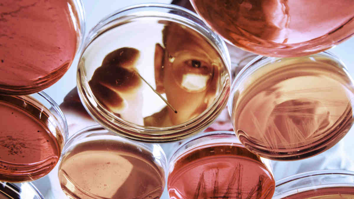 AI is reshaping microbiology. Pic: Getty Images