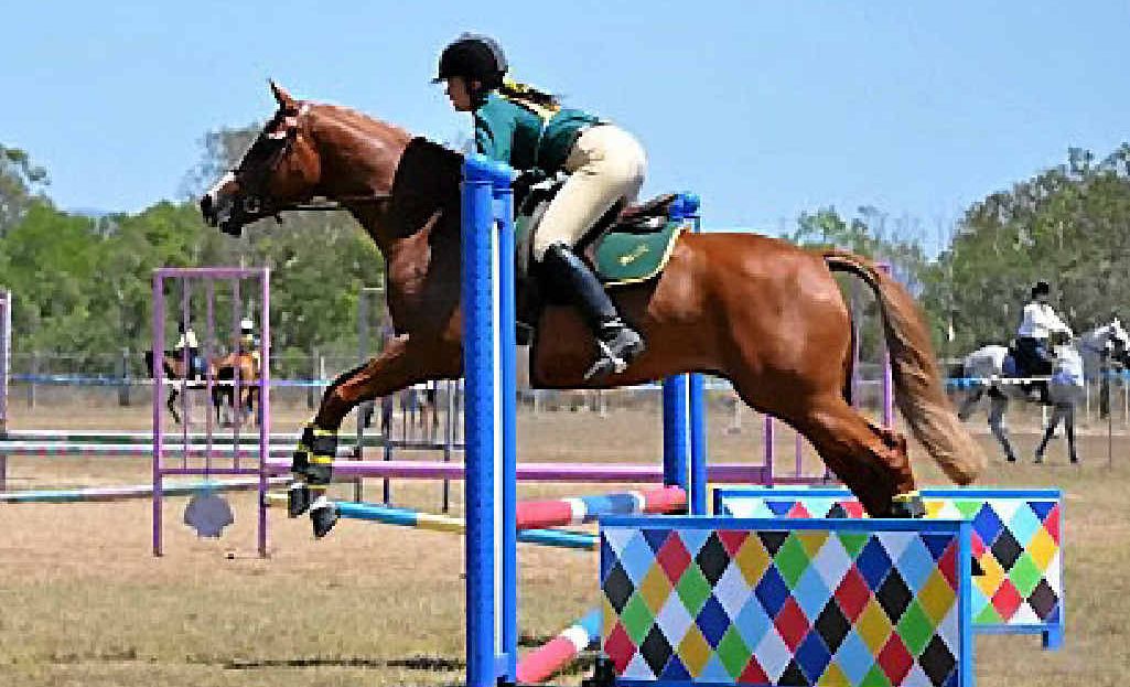 Hack and pony club attracts young and old | The Courier Mail