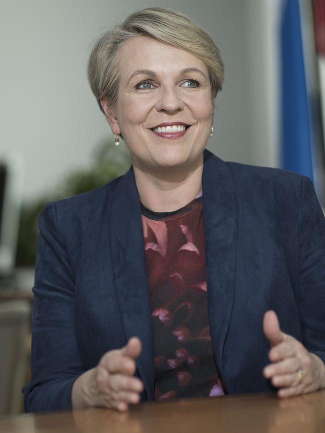 Environment Minister Tanya Plibersek. Picture: NCA NewsWire / Gary Ramage