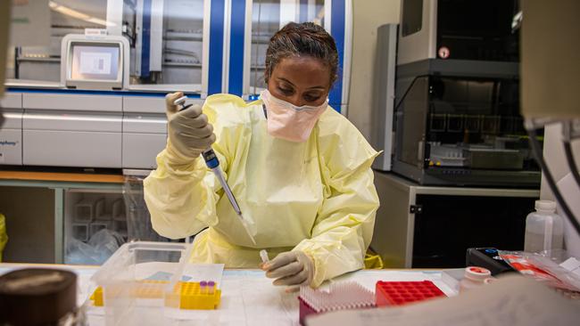 Specialist doctors check samples for coronavirus in the Micro Biology and Pathology Labs at Royal Melbourne Hospital. Picture: Jason Edwards