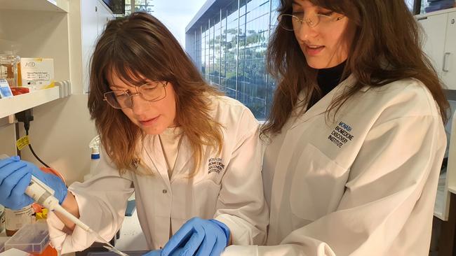 Claire Foldi, left, with Dr Kyna Conn working on the magic mushroom active ingredient, psilocybin. Picture: Supplied