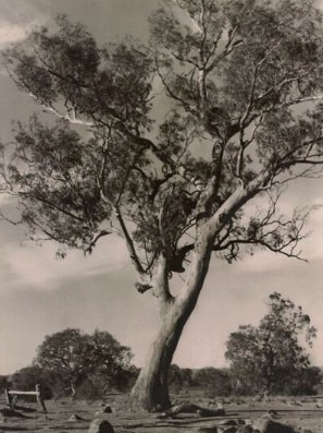 Mernda in the 1930s. Picture: J. E Campbell photographer, State Library of Victoria.