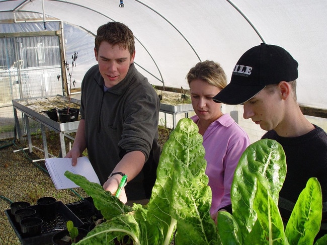 2003. horticulture students at the University of Melbourne's McMillan campus at Warragul.