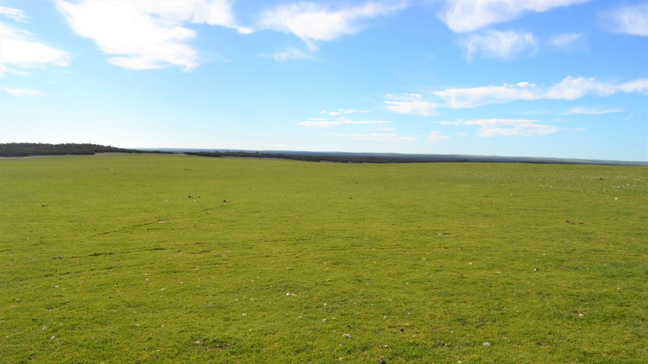 Eyre Peninsula land owned by the Allen family, including 4572ha of farming land and a 9240ha grazing block. Picture: Supplied by CBRE