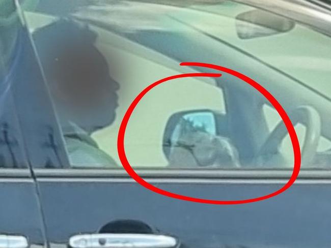 Man drives his car with dog in his lap