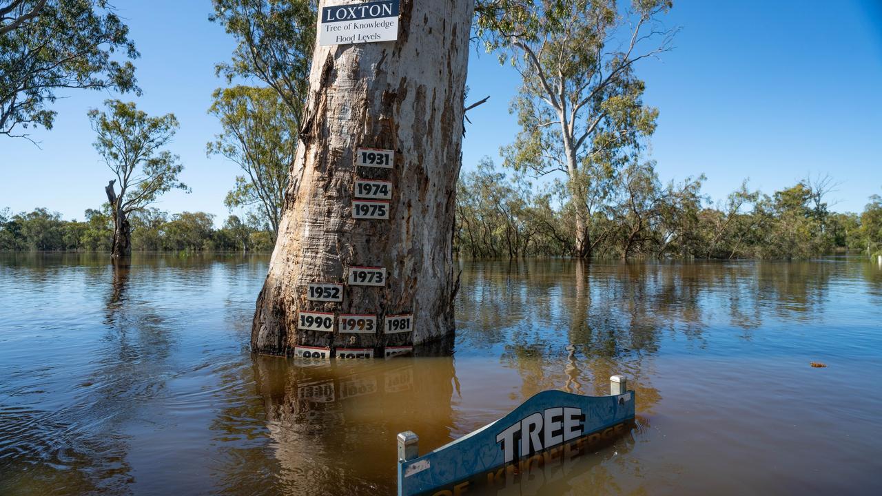 Floodwaters in Loxton. Picture: Murray River Pix