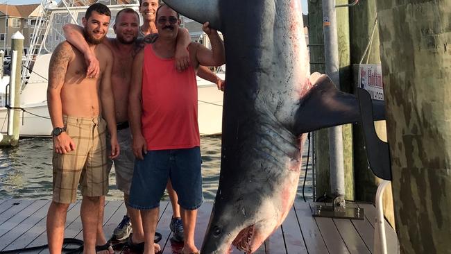 This Saturday, July 22, 2017, photo provided by Jenny Lee Sportfishing, whose crew reeled in a 926-pound Mako shark, from left, Mark Miccio, Mark Miccio, Matt Miccio and Steve Miccio pose for a photo with the shark at Hoffmann Marina in Brielle, N.J. Environmental officials say it's the biggest shark catch in the state's history. The boat's crew was fishing about 100 miles off the state coast in an area known as Hudson Canyon on Saturday. The shark was weighed and displayed in Brielle later that day. The New Jersey Division Fish and Wildlife says the previous record weight for a shark caught was an 880-pound tiger shark caught off Cape May in 1988. (Jenny Lee Sportfishing via AP)