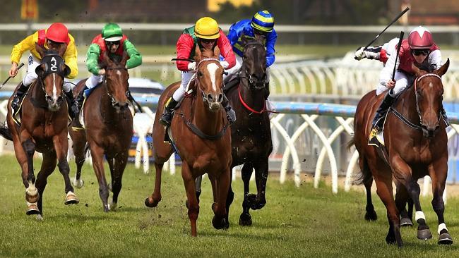 Kerrin McEvoy guides Guelph to a dominant Thousand Guineas victory at Caulfield on Wednesday.